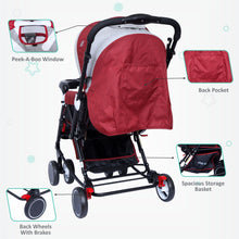 1st Step Cloudie Baby Stroller With 5 Point Safety Harness And Reversible HandleBar - Maroon