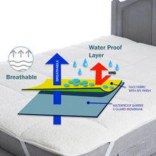 1st Step Supa - Dry Extra Absorbent Dry Sheet/Bed Protector/Mattress Protector (Green, Large(100 * 140 cm))