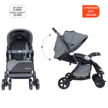 1st Step Grande Pro Stroller with 5 Point Safety Harness and Reversible Handlebar (Grey)