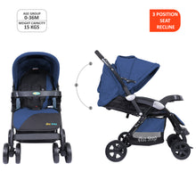 1st Step Grande Pro Stroller with 5 Point Safety Harness and Reversible Handlebar (Navy Blue)